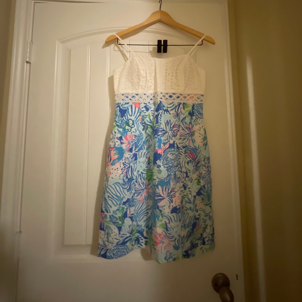 Lilly Pulitzer Delicate And Beautiful Dress Size 0